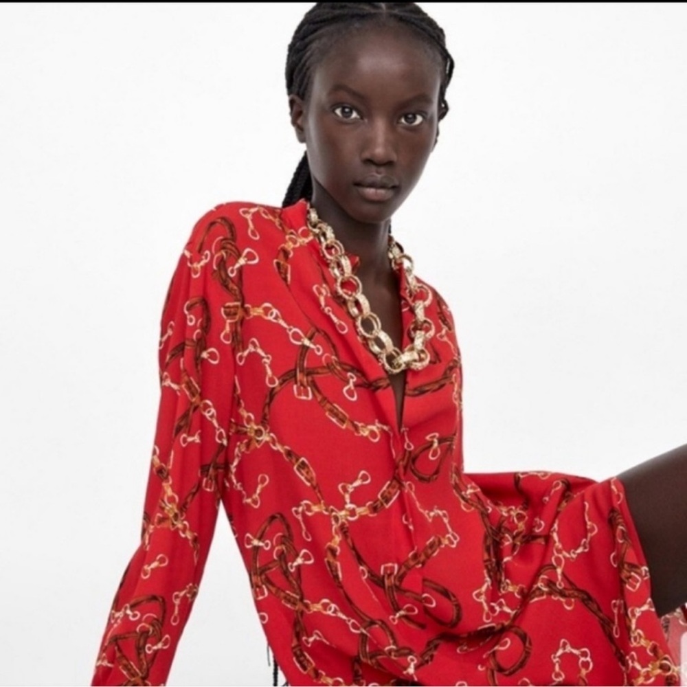 Zara | Dress | Shirt Dress - Picture 7 of 16